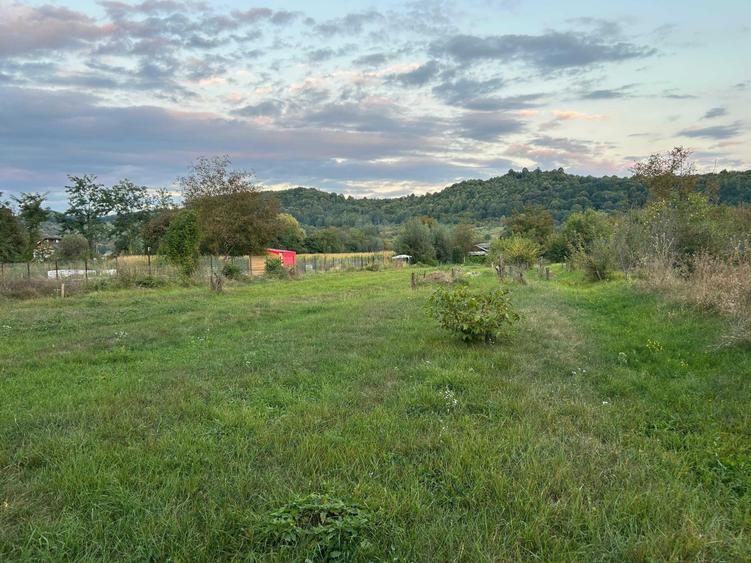 Teren de 2700 mp, în Brănești