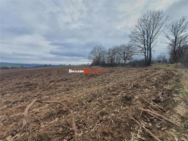 Teren de 13400 mp, în Izvoarele