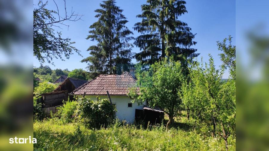 Teren de 72000 mp, în Sânpaul