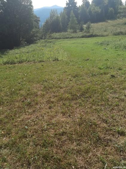 Teren de 1780 mp, în Central
