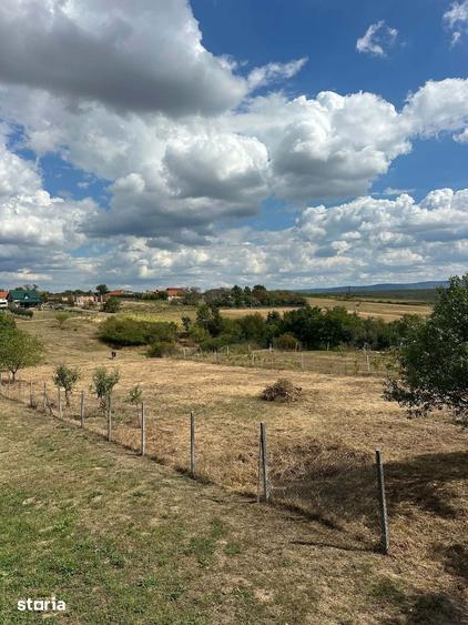 Teren Intravilan,Viile Satu Mare - 6