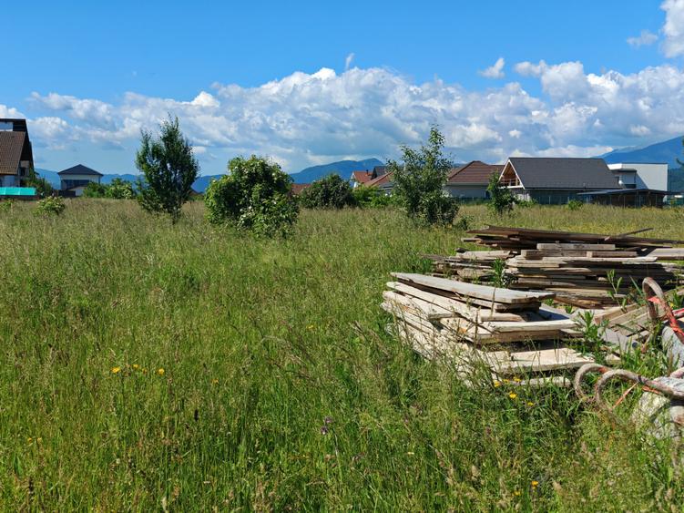 Teren Construcții intravilan de 598 mp, în Cristian