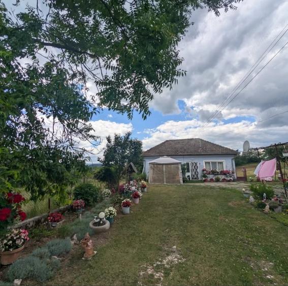 Casă cu 4 camere cu Teren 1680 Mp în Chișcădaga