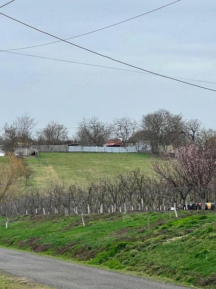 Teren de 4135 mp, în Călacea