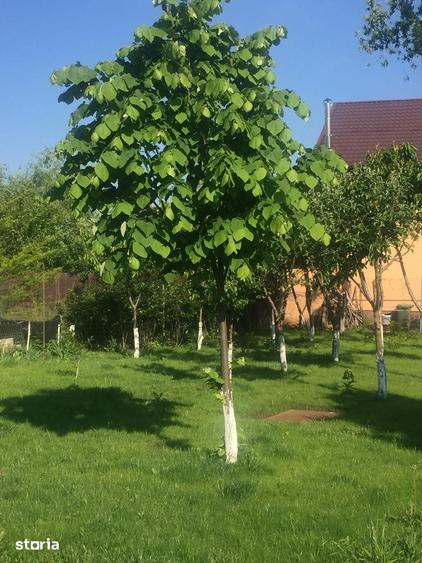 Casă cu 6 camere cu Teren 1156 Mp în Cornetu