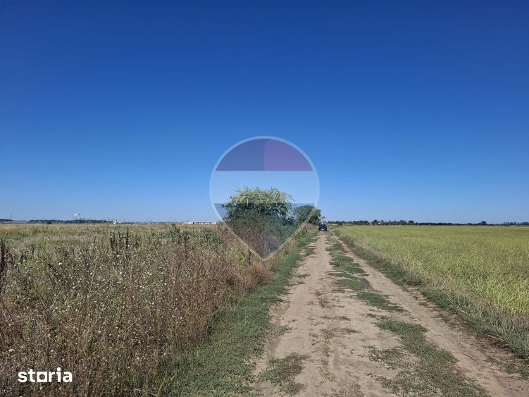 Vanzare teren extravilan 5.000mp - Pantelimon - 7