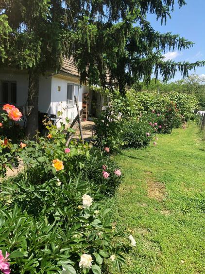 Casă cu 3 camere în Crevedia