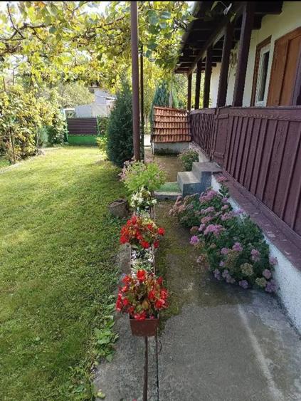 Casă cu 2 camere în Dumbrava