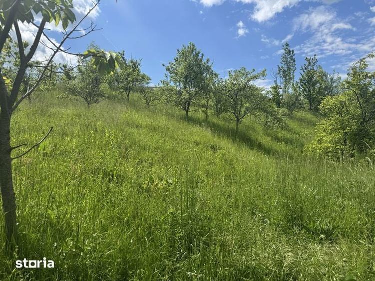 Teren de 1719 mp, în Văleni-Dâmbovița