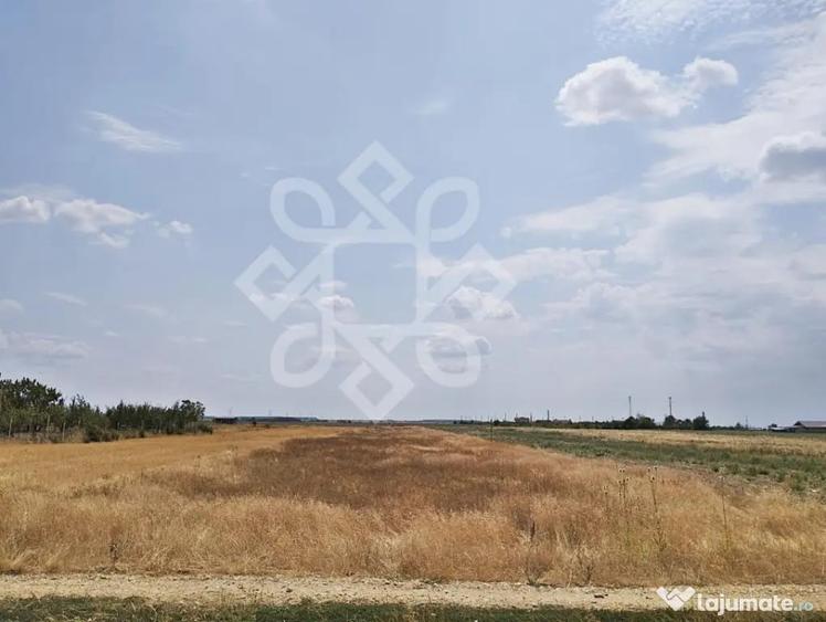 Teren intravilan de vanzare, 3000 mp in Gepiu, Bihor - 2