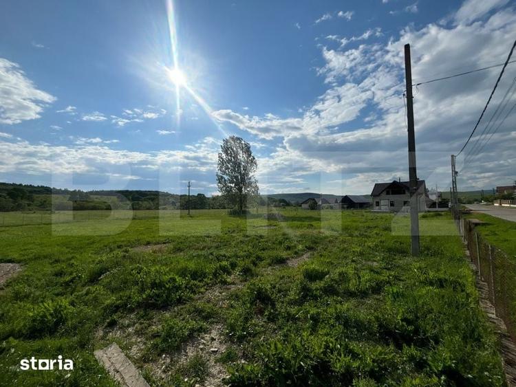Teren intravilan 22 ari, ideal pentru locuinta/investitie in Tarpiu - 2