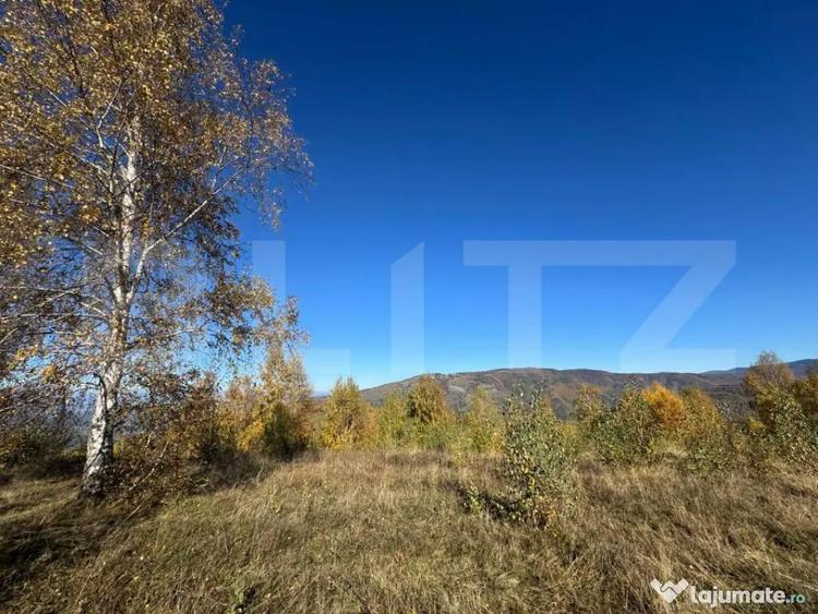 Teren de 17183 mp, în Central