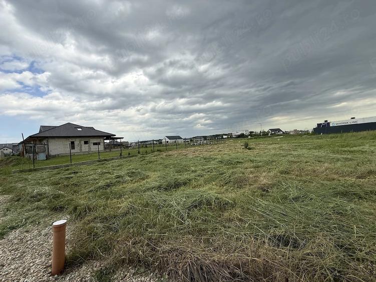 Teren Eden Forest Gulia - 561 mp - proprietar - 3