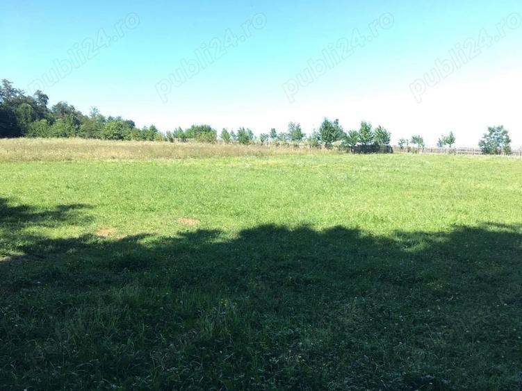 Teren de 5400 mp, în Oglinzi