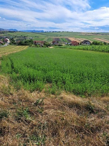 Teren de 1970 mp, în Tureni