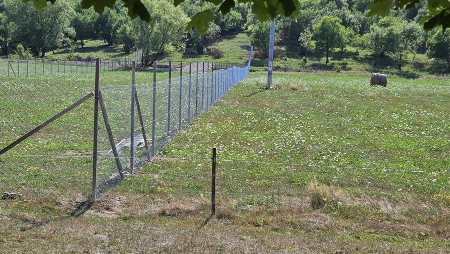 Teren de 6000 mp, în Sarasău