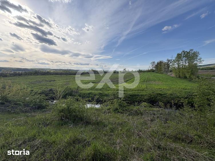 Teren de 20000 mp, în Budeasa