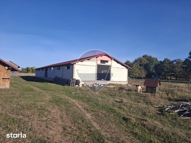 Teren de 51004 mp, în Săpânța