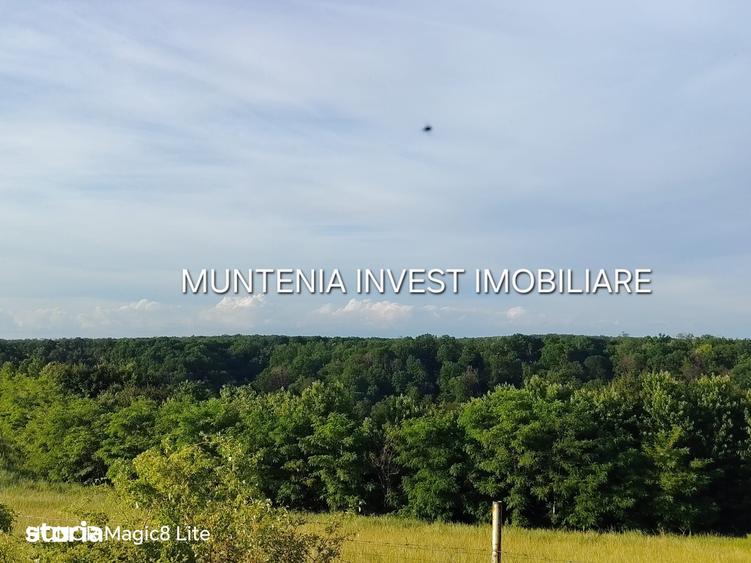 Teren de 935 mp, în Moșoaia