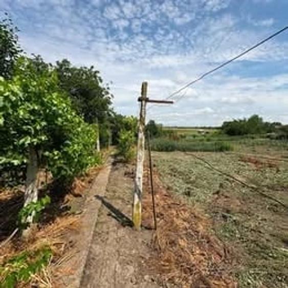 Casă cu 3 camere cu Teren 1439 Mp în Central