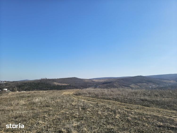 Teren de 510 mp, în Tomești