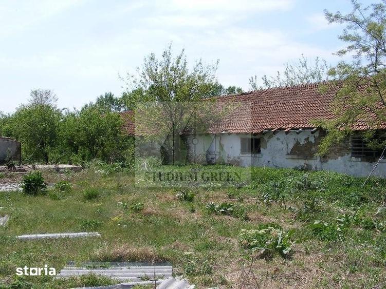 Teren de 9795 mp, în Rădoiești