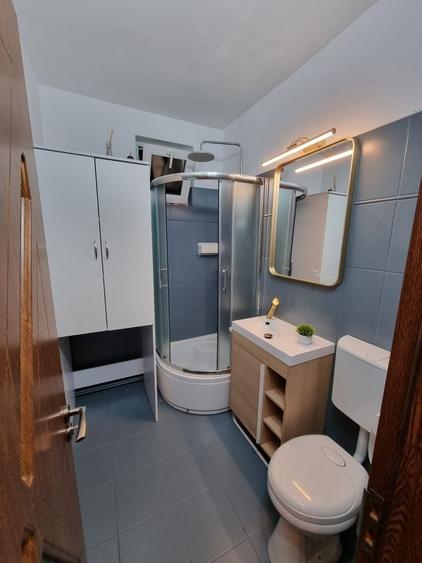Apartament cu 2 camere semidecomandat în Mureșeni
