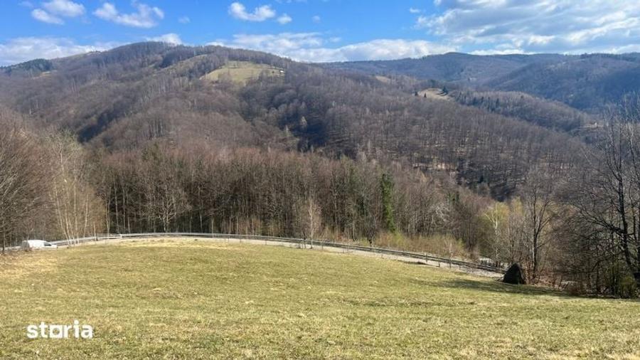 Teren de 4000 mp, în Bulz