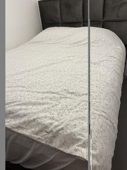 Apartament cu 2 camere nedecomandat în Parcul Carol