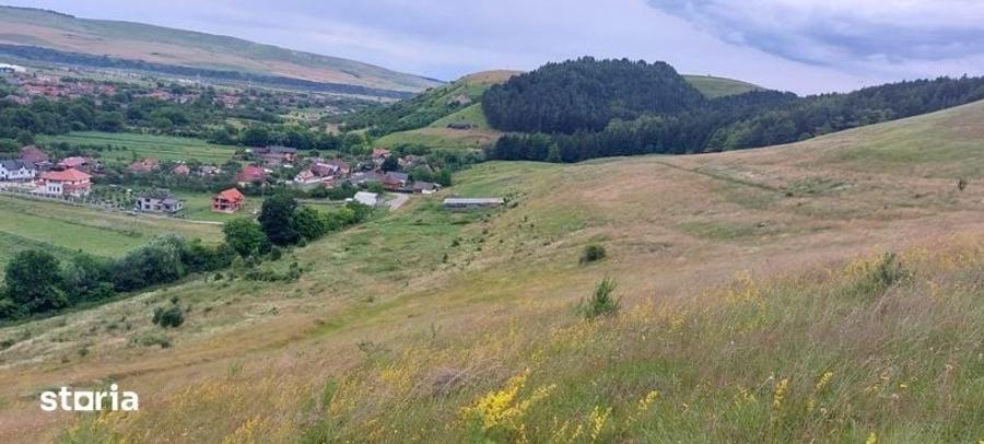 Teren de 7300 mp, în Florești