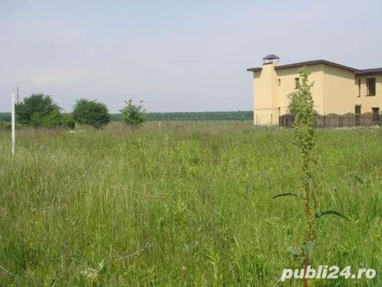 Teren de 620 mp, în Săftica