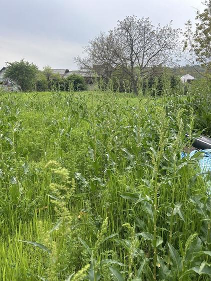 Casă cu 3 camere în Măgureni