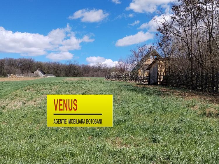 Teren Construcții intravilan de 1800 mp, în Baisa