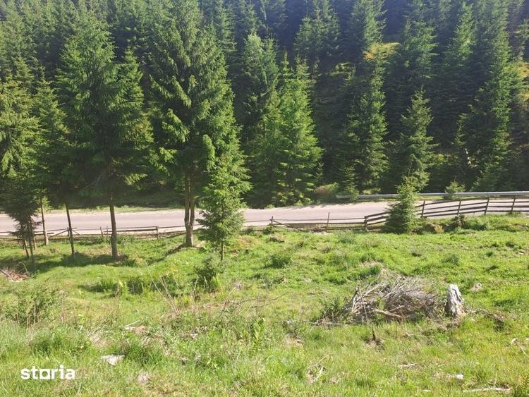 Teren de 1000 mp, în Măguri