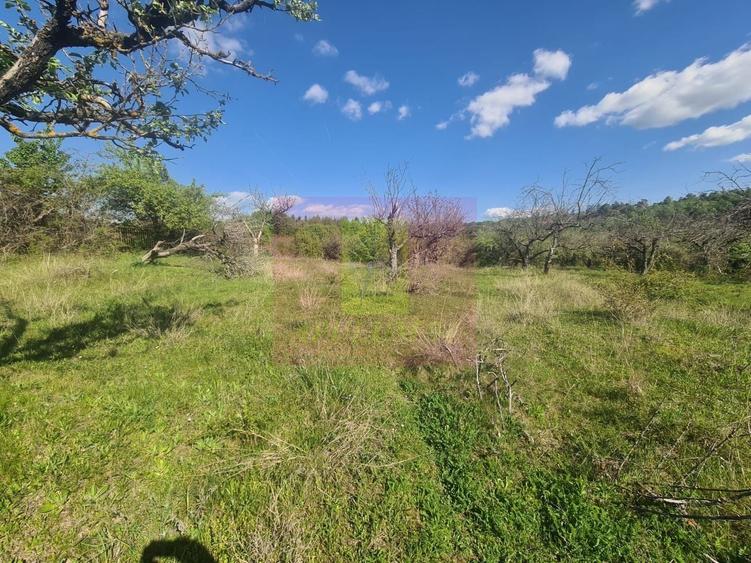 Teren Construcții intravilan de 2500 mp, în Voila