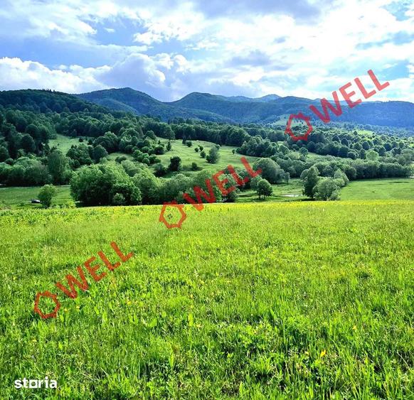 Teren de 9289 mp, în Vama Buzăului