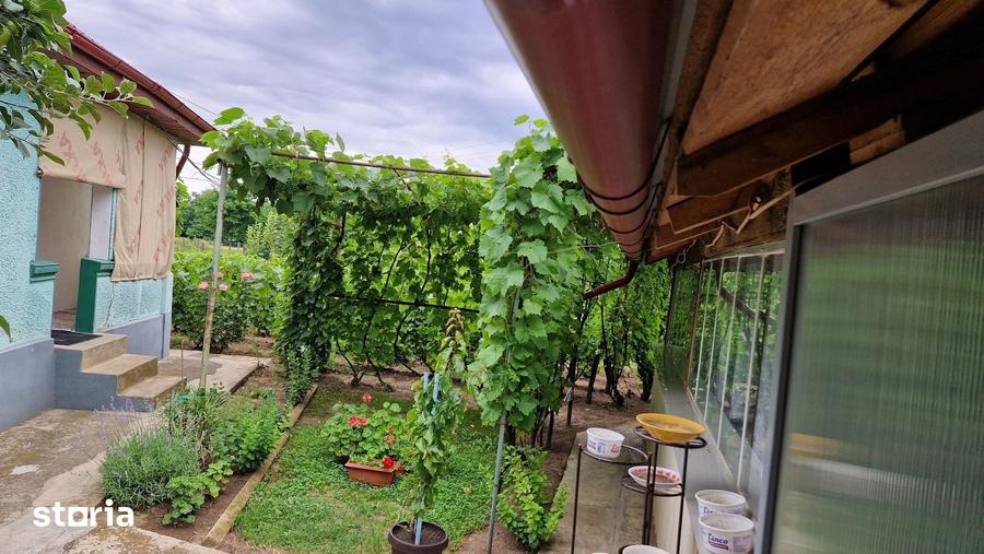 Casă cu 3 camere cu Teren 1300 Mp în Boldești