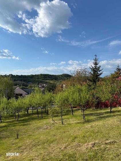 Teren Intravilan 730 mp Valea Mare, Stefanesti, Arges - 5
