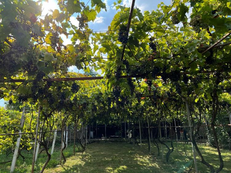Casa de vanzare in Barlad Cartier Deal, Str. Campia Libertatii - 7