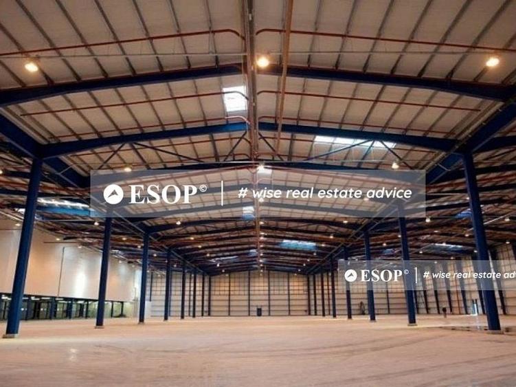 Spațiu industrial, de 4,500 mp, în Remetea Mare