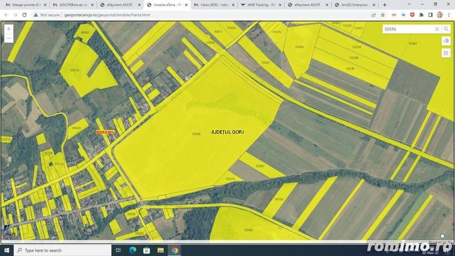 Teren de 500000 mp, în Borăscu