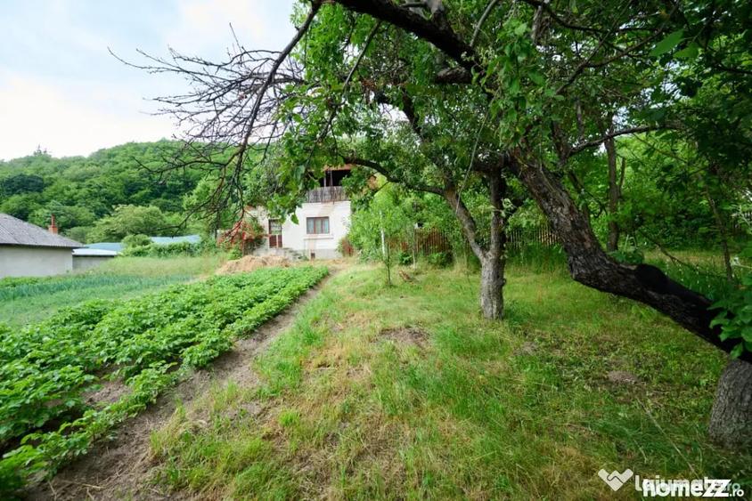 Casă cu 3 camere cu Teren 4696 Mp în Central