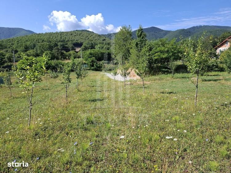 Teren in Tocile cu priveliste catre munte - 3