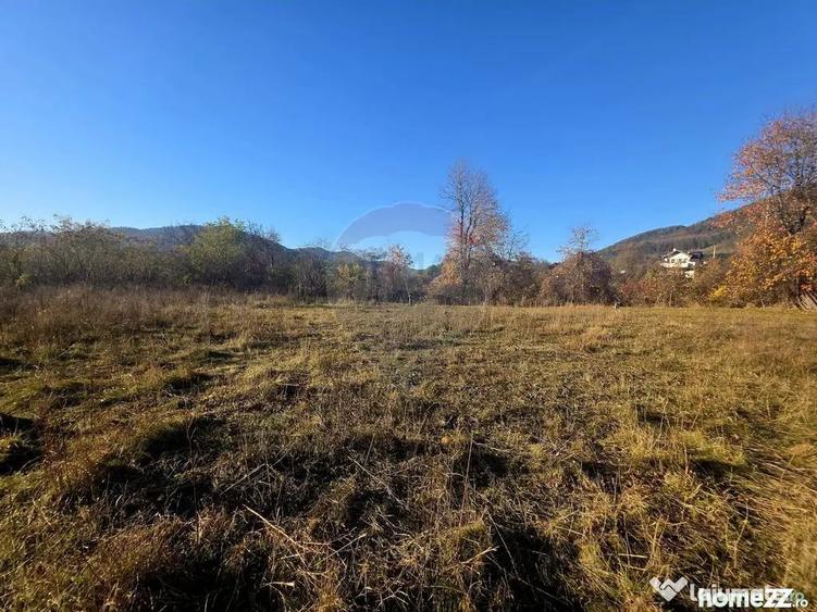Teren 6,874mp Alexandru cel Bun / Strada plopusor - 11