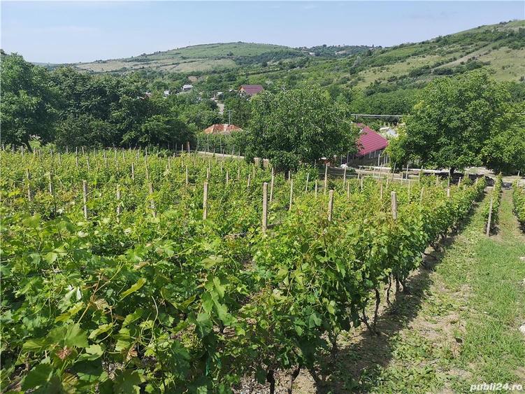 Casă cu Teren 5060 Mp în Vispești