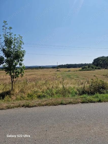 Teren de 12500 mp, în Central