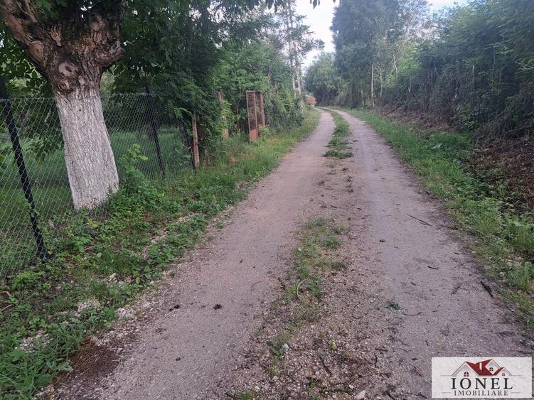 Teren Construcții intravilan de 2400 mp, în Benic