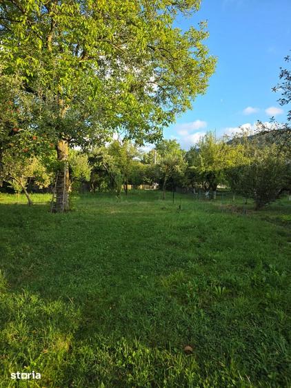 Teren de 2500 mp, în Central
