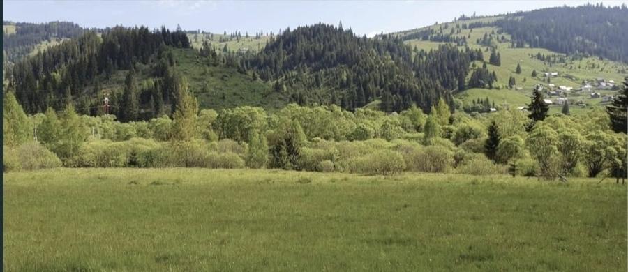 Teren în Central