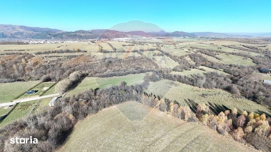 Teren de 12615 mp, în Tohănița